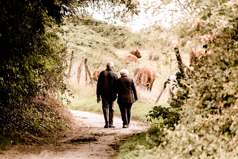 Retirement Income Portfolio Management: The Plan